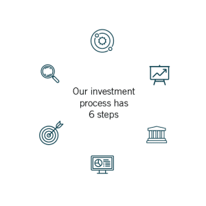 6 step investment process